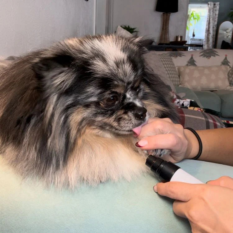 Silent Groom Pro™ – Stress-Free Pet Nail Trimmer