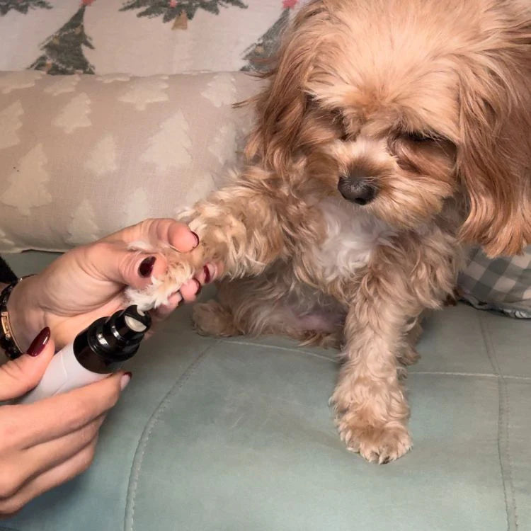 Silent Groom Pro™ – Stress-Free Pet Nail Trimmer